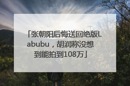 张朝阳后悔送回绝版Labubu，胡润称没想到能拍到108万